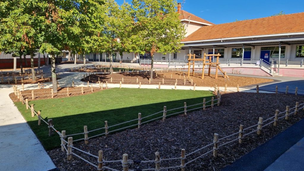 Cours oasis en bois de robinier