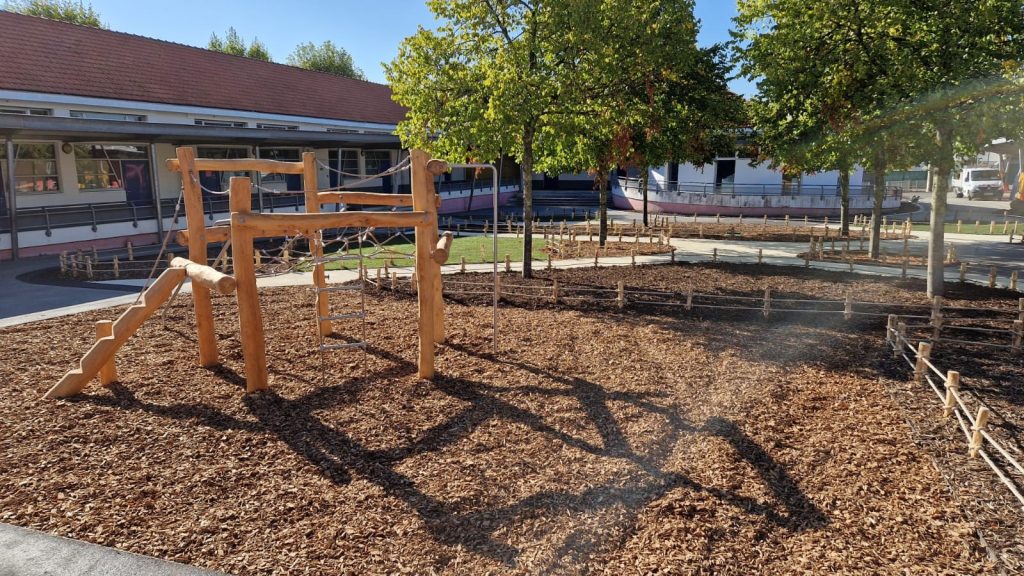 Cours oasis en bois de robinier